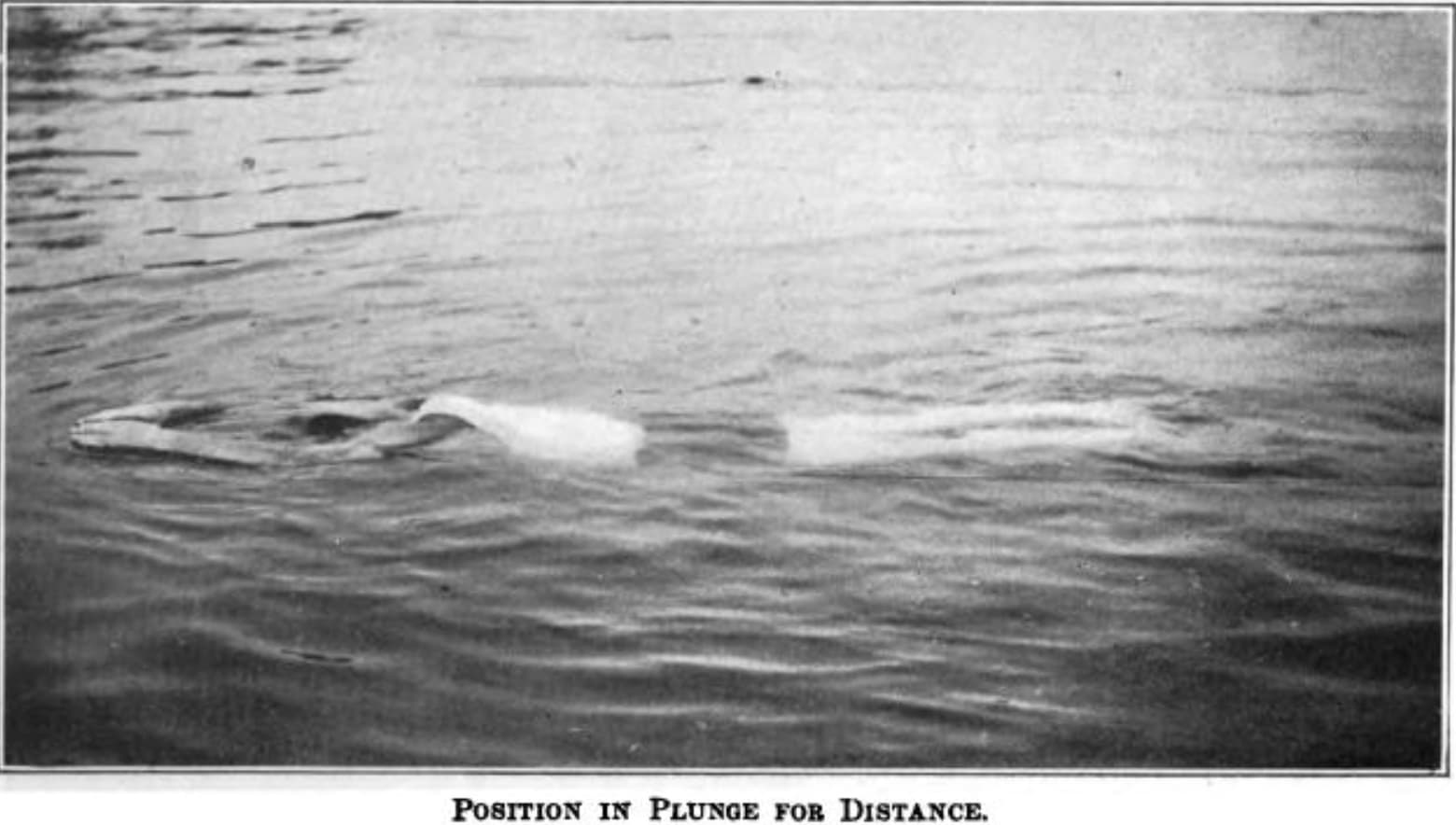 plunge for distance swimming - Position In Plunge For Distance.